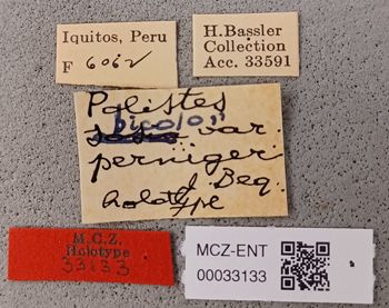 Media type: image;   Entomology 33133 Aspect: labels